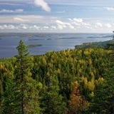 Le soluzioni naturali aiutano a prevenire gli incendi in Europa