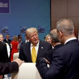 Trump's Imperial Presidency in Overdrive and Grahm Platner's Collapse