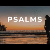 Psalms for Relaxation_ Audio Bible for Sleep - Abide Meditation P. 2