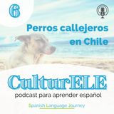 EP6 Los perros callejeros en Chile