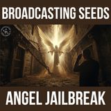 Acts vs Modern Christianity | Are We Protecting the Prison?