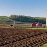 Agricoltura alleata del clima: New York approva la legge sul suolo sano