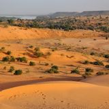 Tradition, régénération naturelle et éducation numérique au programme (Le Niger sur Kalangou)