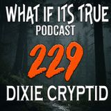 Archive 229 Bigfoot Theory