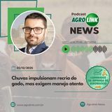 Paraná teve maior safra de grãos da história