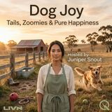 Dog Joy - Second Chances and Wagging Tails