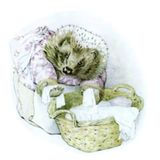 El cuento de la Sra. Tiggy-Winkle | Cuentos De Animales