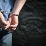 Comité contra el Crimen Organizado
