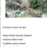 Üzüntüyü Azaltan Altı Şey