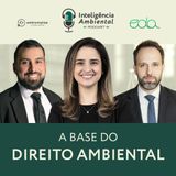 #32 Você não entende Direito Ambiental sem dominar estes princípios | Bianca Monte Rey