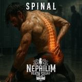017: NDS Chronicles - Spinal