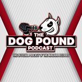 Niagara IceDogs 2023 Training Camp Update - Dog Pound Podcast