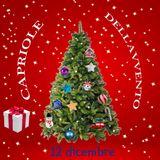 Capriole dell'Avvento - 12 dicembre 2024