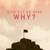 God put us here WHY?