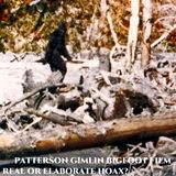 The Patterson Gimlin BIGFOOT film, Is it real or an elaborate hoax?