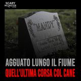 L'Omicidio del Fiume: Il Mistero che ha Cambiato una Comunità