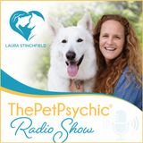 Laura Stinchfield The Pet Psychic ® on Get Yourself Optimized