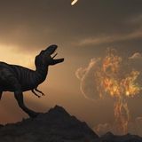 Extinción
