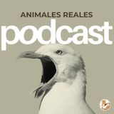 #1 - Te damos la bienvenida