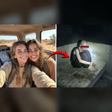 We Lost 2 Friends in the Superstitions for 5 Years… Then One Crawled Out of a Phoenix Basement Toothless, Repeating 1 Number