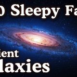 Personality Types _ Facts to Fall Asleep To _ No adverts