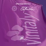 Speciale Vinitaly - Parte 2