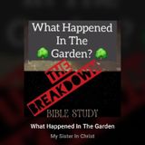 What Happened In The Garden (The Breakdown)