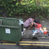 #Ravenna Dumpster Diving - Cercare cibo buttato commestibile, sì o no?