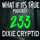 Archive 233 Thunderbird