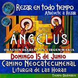 ANGELUS DEL DIA DE HOY DOMINGO 15 DE JUNIO 2025, 🙏ORACION A NUESTRA MADRE 🌹LA VIRGEN MARIA 🙏.