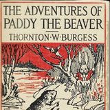 The Adventures of Paddy the Beaver by Thornton W. Burgess | Full Audiobook | Audiobook Time