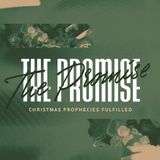 Jesus Son of Mary Isaiah 7