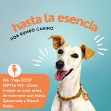 Viaje ECCP SEPT26 W2 - Como evaluar un caso antes de intervenir