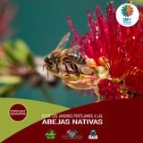 NUESTRO OXÍGENO Protegiendo a las Abejas nativas desde los jardines - Angelica Aldana