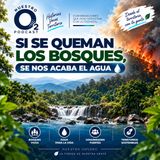NUESTRO OXÍGENO Si se queman los bosques, se nos acaba el agua