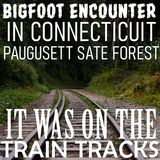 I ENCOUNTERED BIGFOOT ON THE TRAIN TRACKS IN CONNECTICUT (PAUGUSSETT STATE FOREST) #bigfoot