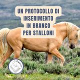 Un protocollo di introduzione per stalloni