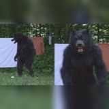 Dogman in Their Backyard… The Town Hid for 3 Nights