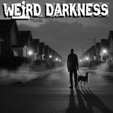 THE PERFECT NEIGHBORHOOD: There is Something Strange About Haven Estates