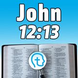 John 12:13 | Approaching Palm Sunday with Humility