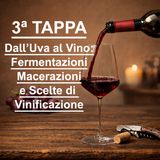 3ª TAPPA - Percorso di avvicinamento al VINO NATURALE