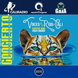 NUESTRO OXIGENO III Festival, gran concierto voces del río Cali