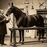 (1881_ Pecos) Macabre Wild West Tales _ The Doctor Who Hid His Victims Inside the Bodies of Horses