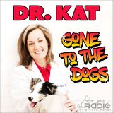 Dr. Kat Gone to the Dogs - Episode 5 POT-entially a Break Thru for Dogs!
