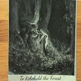 #545 - A Riveder la Selva (Recensione)