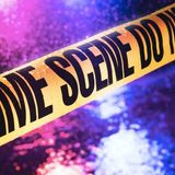 Raccolte criminali - Piani assurdi e finiti male (Vol.2)