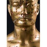 The I AM Well Show ~with guest Acupuncturist Wayne Knerr DOM