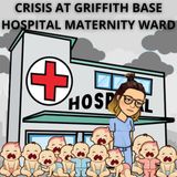 Helen Dalton MP (@HelenDalton22) independent state MP for Murray on concerns over #Griffith Base Hospital maternity services ...