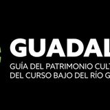 Enlace bit: Guadalguía