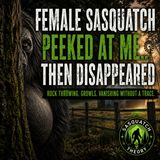 A FEMALE SASQUATCH DISAPPEARED BEHIND A TREE | MY GRANDFATHER TALKED ABOUT THE BOOGERS IN THE FOREST